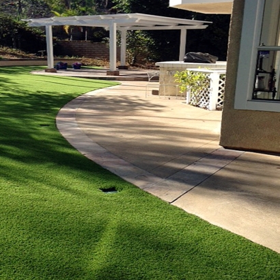 Artificial Grass Severance, Colorado Pet Turf, Front Yard Landscape Ideas