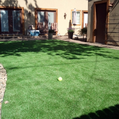 Artificial Grass Snowmass Village, Colorado Landscape Ideas, Backyard Landscaping