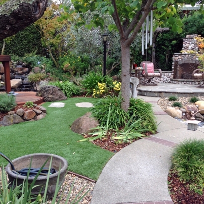 Artificial Grass Westcreek, Colorado Landscaping Business, Backyard Landscaping