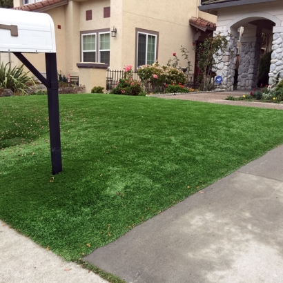 Artificial Lawn Alma, Colorado Backyard Playground, Front Yard Landscaping Ideas