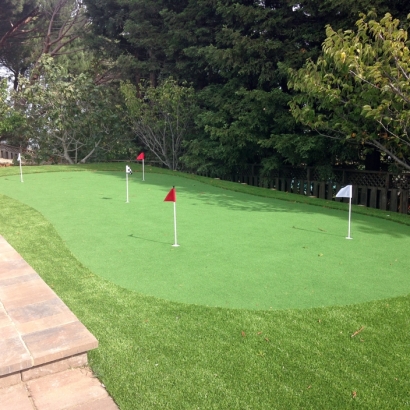 Artificial Lawn Campo, Colorado Home Putting Green, Backyard Landscaping