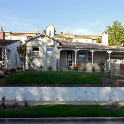 Artificial Lawn Idalia, Colorado Landscaping, Front Yard Ideas