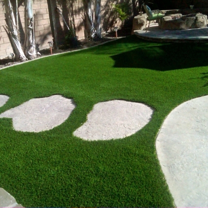 Artificial Lawn Weldona, Colorado Landscape Design, Backyard Garden Ideas