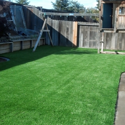 Artificial Turf Cost Cokedale, Colorado Landscaping Business, Backyard Landscaping