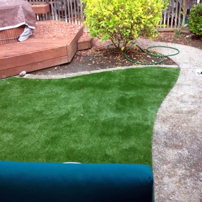 Artificial Turf Cost Midland, Colorado Lawns, Small Backyard Ideas