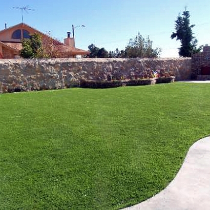 Artificial Turf Cripple Creek, Colorado Gardeners, Small Backyard Ideas