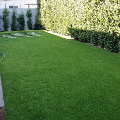 Artificial Turf Installation Hartman, Colorado City Landscape, Backyard Design