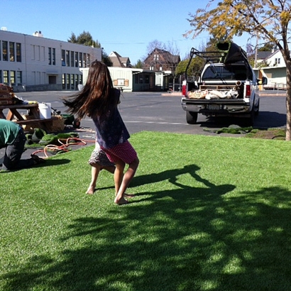 Artificial Turf Installation Norrie, Colorado Gardeners, Commercial Landscape