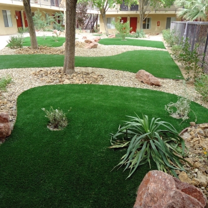 Artificial Turf Mount Crested Butte, Colorado Landscaping Business, Commercial Landscape