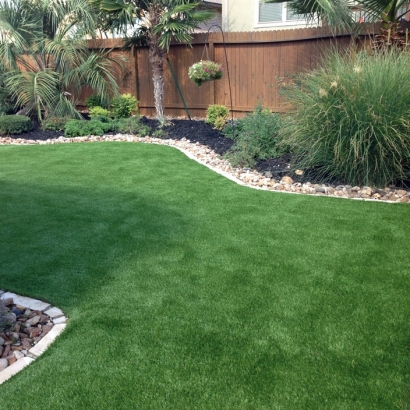 Artificial Turf New Castle, Colorado Watch Dogs, Backyard Landscaping