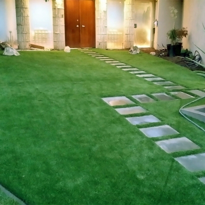 Artificial Turf Romeo, Colorado Lawn And Garden, Front Yard Ideas