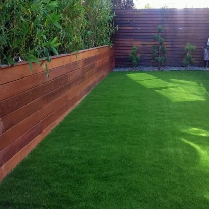 Artificial Turf Walden, Colorado Backyard Playground, Backyard Landscaping Ideas