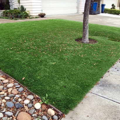 Best Artificial Grass Avon, Colorado Landscape Design, Front Yard Landscape Ideas