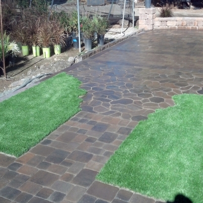 Best Artificial Grass Coal Creek, Colorado Landscape Ideas, Beautiful Backyards