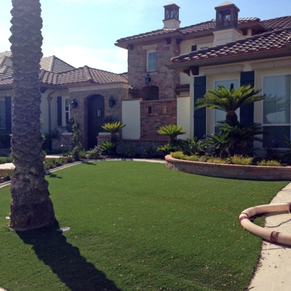 Best Artificial Grass Eaton, Colorado Landscaping, Small Front Yard Landscaping