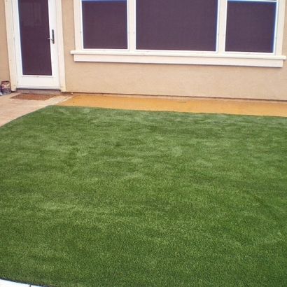 Best Artificial Grass Goldfield, Colorado Design Ideas, Backyard Garden Ideas