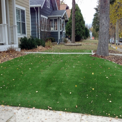 Best Artificial Grass Limon, Colorado Backyard Playground, Front Yard Design