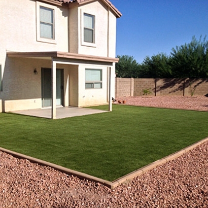 Best Artificial Grass Otis, Colorado Gardeners, Beautiful Backyards