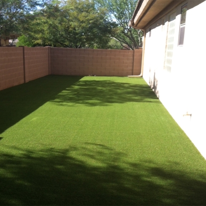 Fake Grass Carpet Acres Green, Colorado Landscaping Business, Small Front Yard Landscaping