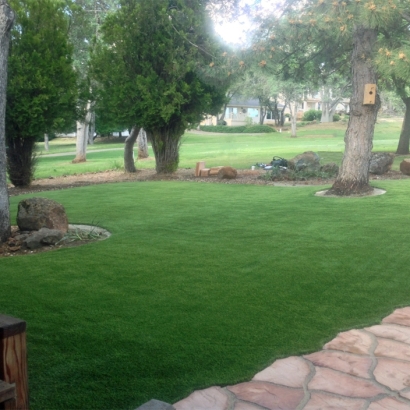 Fake Grass Carpet Log Lane Village, Colorado Lawn And Landscape, Front Yard Ideas