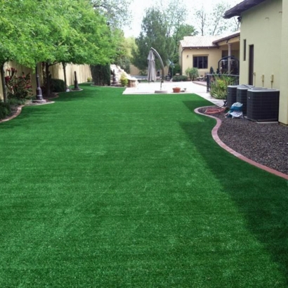 Fake Grass Carpet Meridian, Colorado Garden Ideas, Backyard Ideas