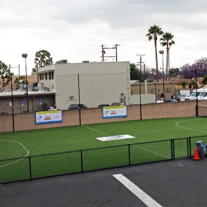 Fake Grass Castle Pines, Colorado Stadium, Commercial Landscape