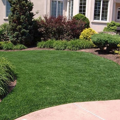 Fake Grass Larkspur, Colorado Landscaping, Front Yard Landscaping