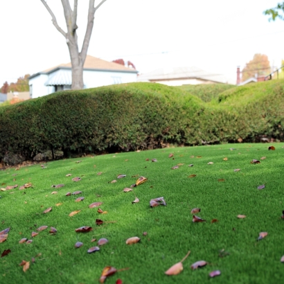 Fake Lawn Blue River, Colorado Lawns, Front Yard