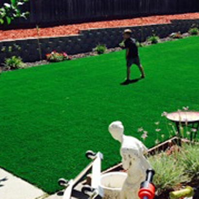 Fake Lawn Eads, Colorado Lawn And Garden, Beautiful Backyards