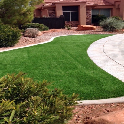 Fake Lawn Leadville North, Colorado Landscape Ideas, Front Yard Design