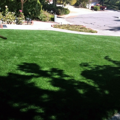 Fake Lawn Louviers, Colorado Landscape Ideas, Front Yard