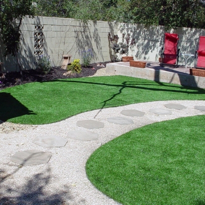 Fake Lawn Vail, Colorado Lawn And Garden, Backyard Design