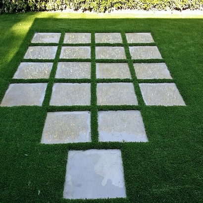 Fake Turf Branson, Colorado Design Ideas, Backyard Landscape Ideas