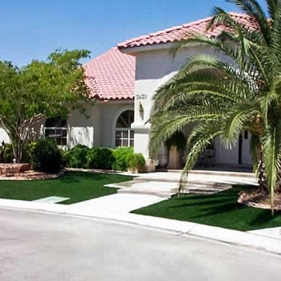 Fake Turf Buena Vista, Colorado Paver Patio, Front Yard Landscaping