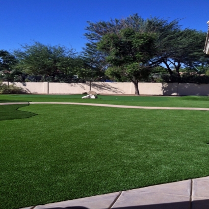 Fake Turf Fraser, Colorado Backyard Playground, Front Yard Ideas