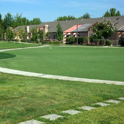 Fake Turf Gerrard, Colorado Lawn And Garden, Commercial Landscape