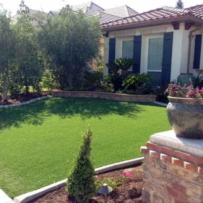 Fake Turf Westcreek, Colorado Garden Ideas, Front Yard Landscaping Ideas