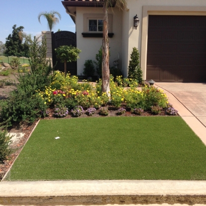 Faux Grass Glenwood Springs, Colorado Lawns, Front Yard Ideas