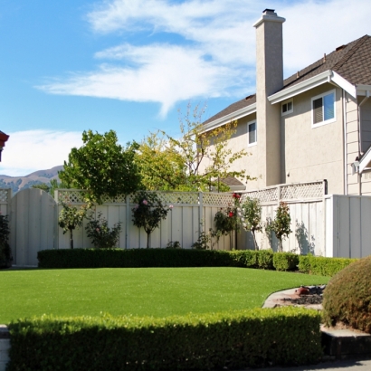 Faux Grass Loma, Colorado Landscape Ideas, Front Yard Landscape Ideas