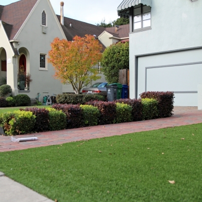 Faux Grass Manitou Springs, Colorado Lawn And Garden, Front Yard Landscape Ideas