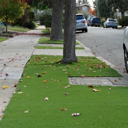 Faux Grass Parshall, Colorado Garden Ideas, Small Front Yard Landscaping