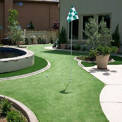 Grass Carpet Alpine, Colorado Rooftop, Small Backyard Ideas