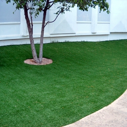 Grass Carpet Eldorado Springs, Colorado Design Ideas, Commercial Landscape