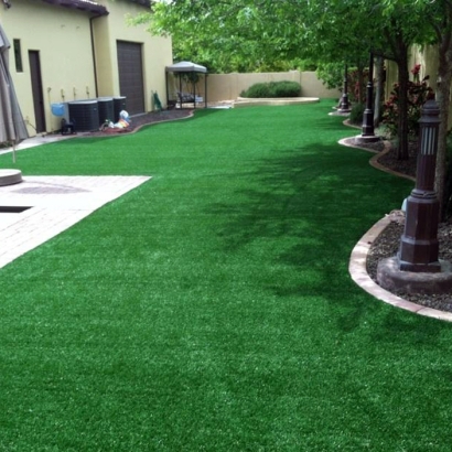 Grass Carpet Flagler, Colorado Garden Ideas, Backyard Landscaping Ideas