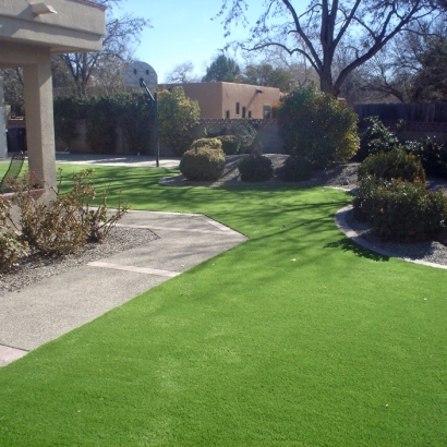 Grass Carpet Kittredge, Colorado Lawn And Landscape, Front Yard Landscaping