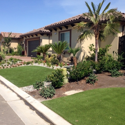 Grass Carpet Lewis, Colorado City Landscape, Front Yard Design