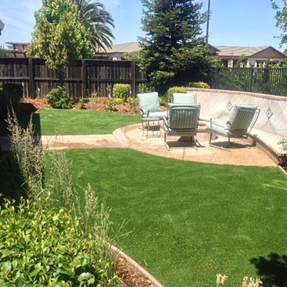 Grass Carpet Saint Ann Highlands, Colorado Landscape Design, Backyard Landscape Ideas