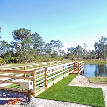 Grass Carpet Silver Cliff, Colorado Landscaping, Backyard Ideas