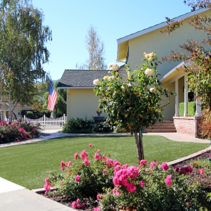 Grass Installation Norwood, Colorado Backyard Playground, Small Front Yard Landscaping