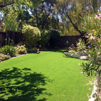 Grass Installation Saint Ann Highlands, Colorado Landscape Design, Beautiful Backyards